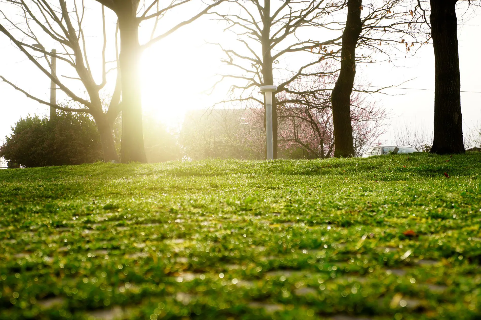 Spring prep landscaping services in Indiana