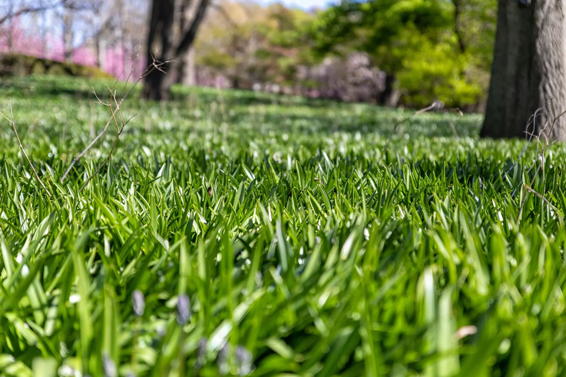Spring property cleanup and landscaping services
