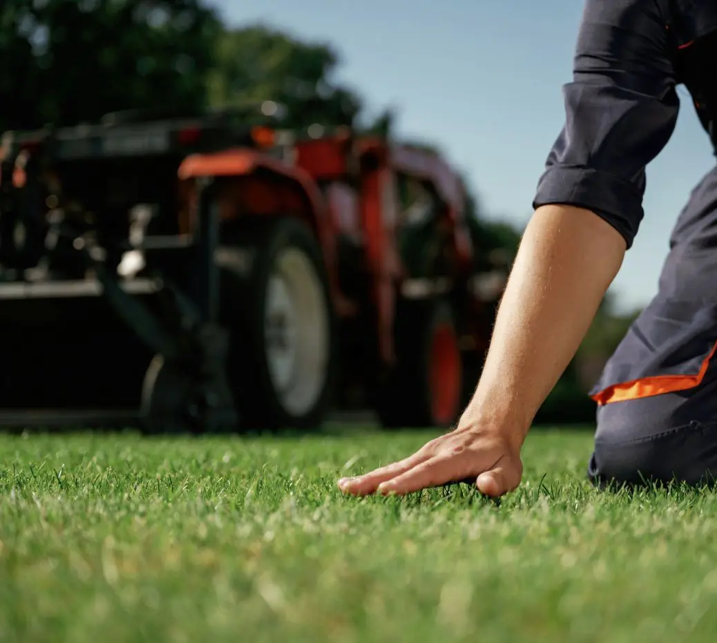 Spring lawn aeration and dethatching services