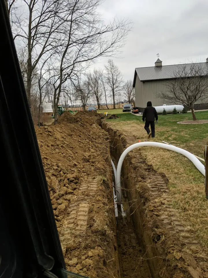 Professional lawn seeding